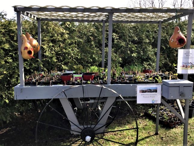 PlantCart